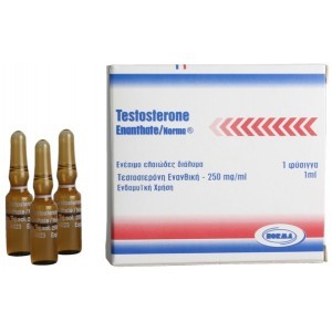 Testosterone Enanthate Norma Hellas 1ml amp [250mg/1ml]
